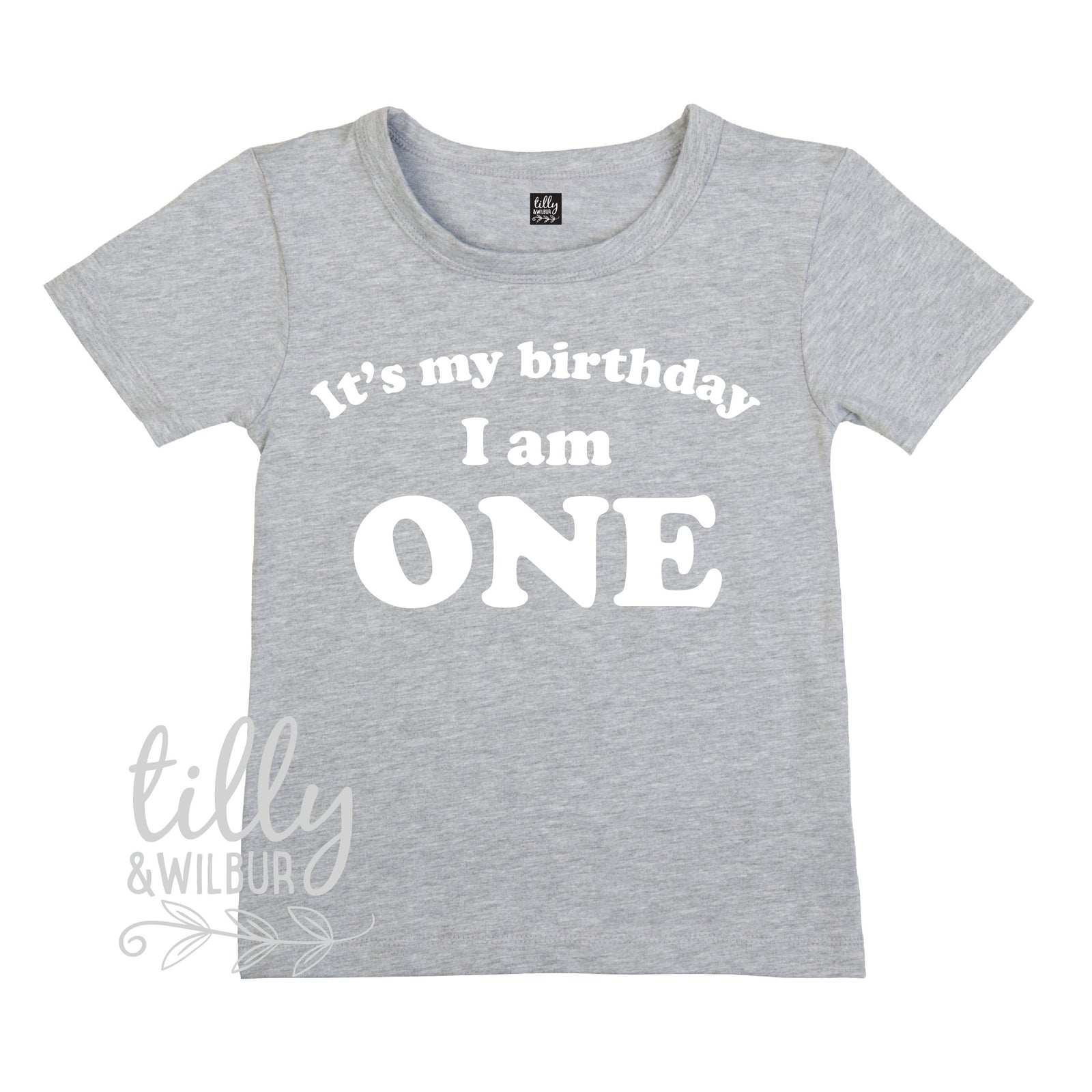It's My Birthday I Am One T-Shirt, I am One Shirt, 1st Birthday T-Shirt, First Birthday T-Shirt, One Today Shirt, 1 Gift, One Gift, First