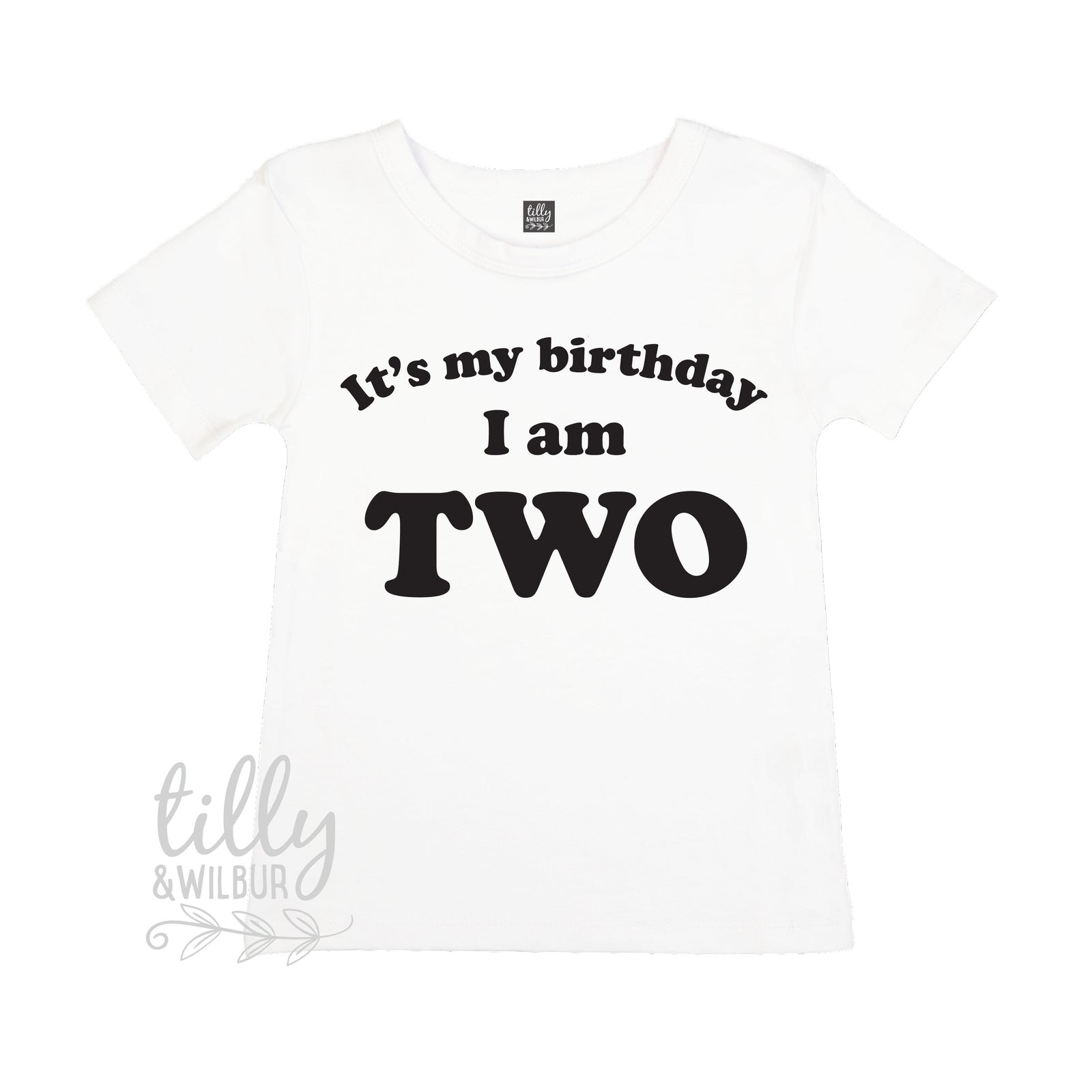 It's My Birthday I Am Two T-Shirt, I am Two Shirt, 2nd Birthday T-Shirt, Second Birthday T-Shirt, Two Today Shirt, Kids 2nd Birthday T-Shirt