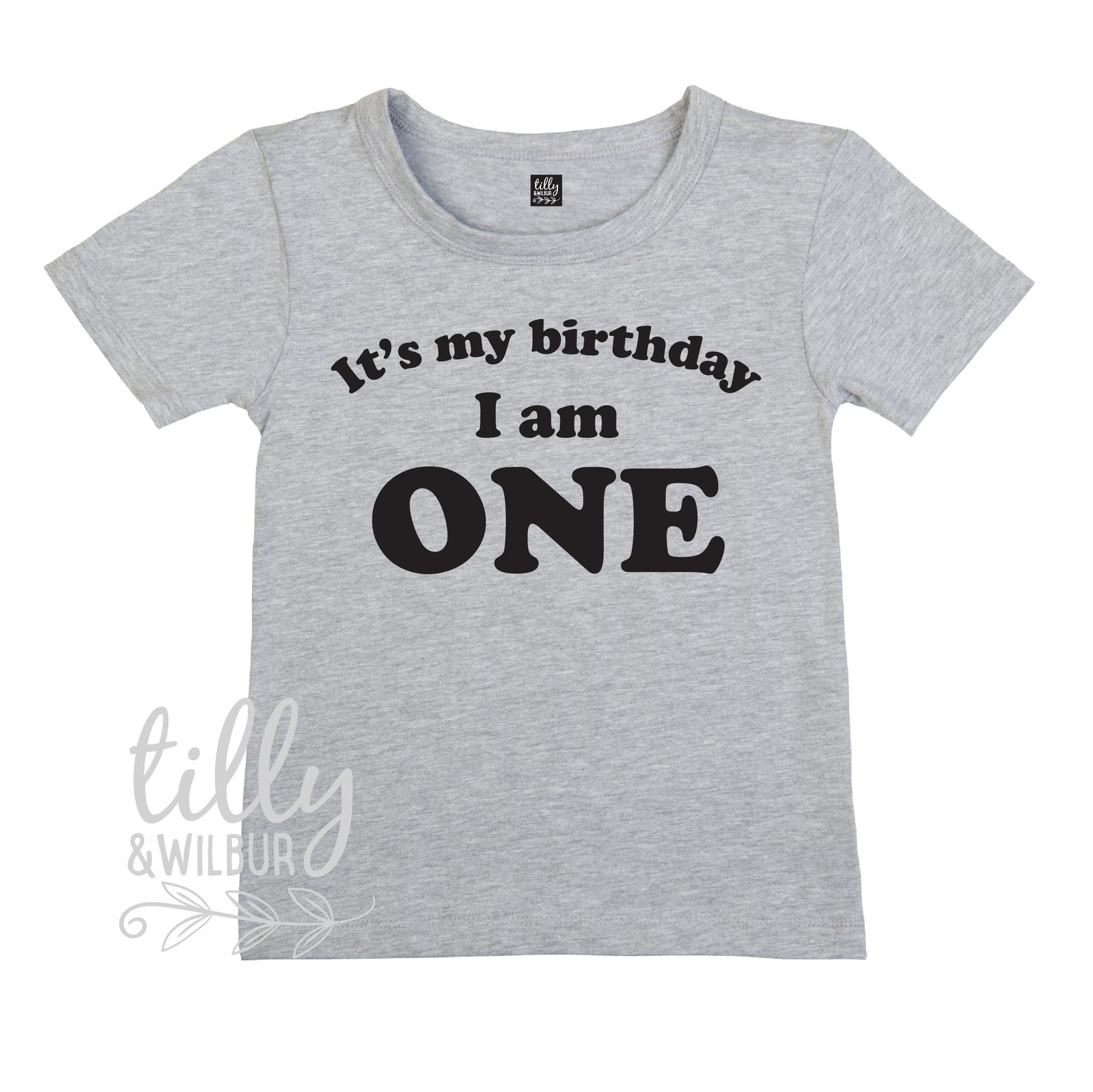 It's My Birthday I Am One T-Shirt, I am One Shirt, 1st Birthday T-Shirt, First Birthday T-Shirt, One Today Shirt, 1 Gift, One Gift, First