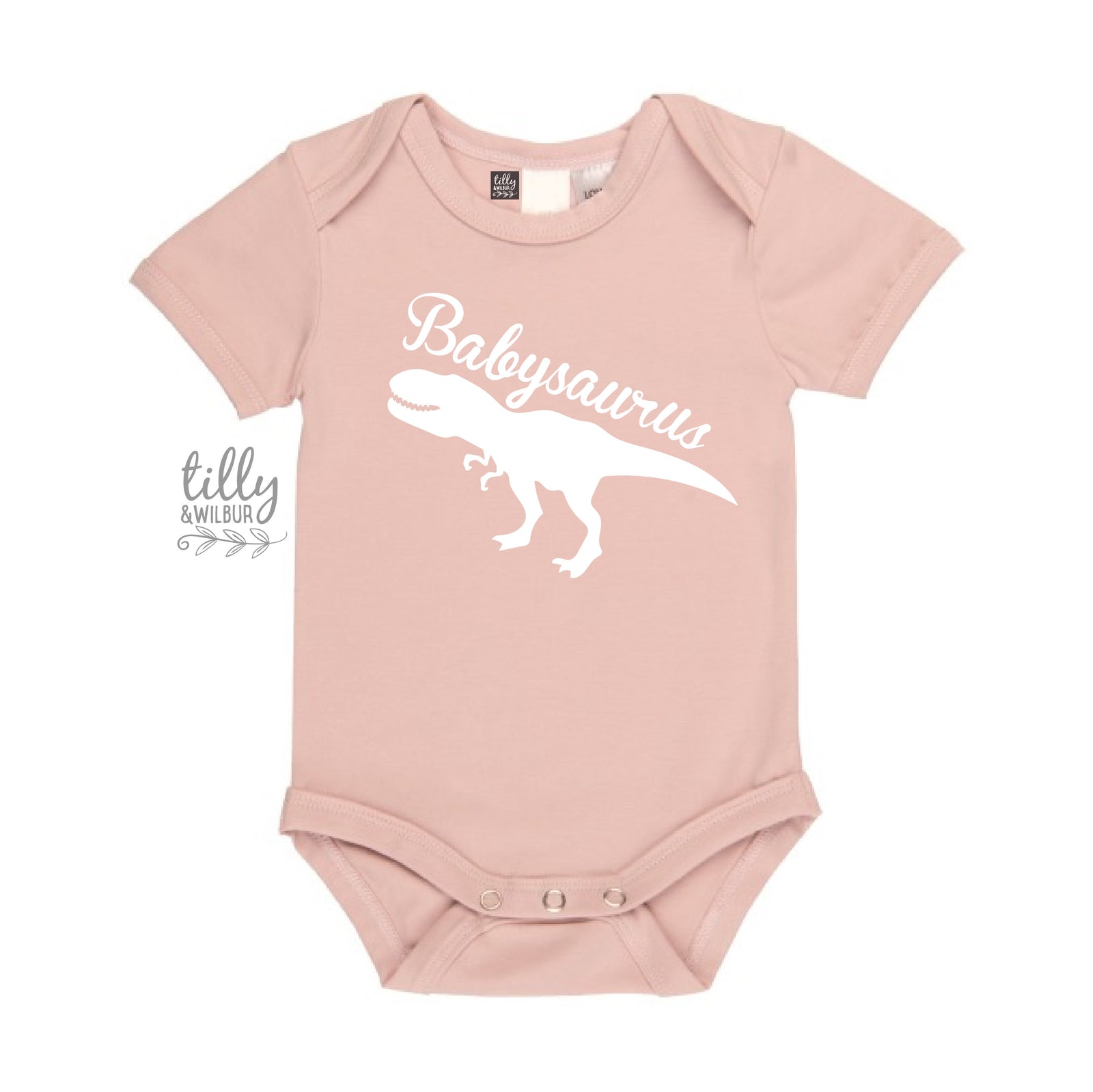 Babysaurus Bodysuit, New Baby Gift, Baby Shower Gift, Little Sister Dinosaur, Newborn Sister, Newborn Girl, Dinosaur Baby, Babysaurus Gift