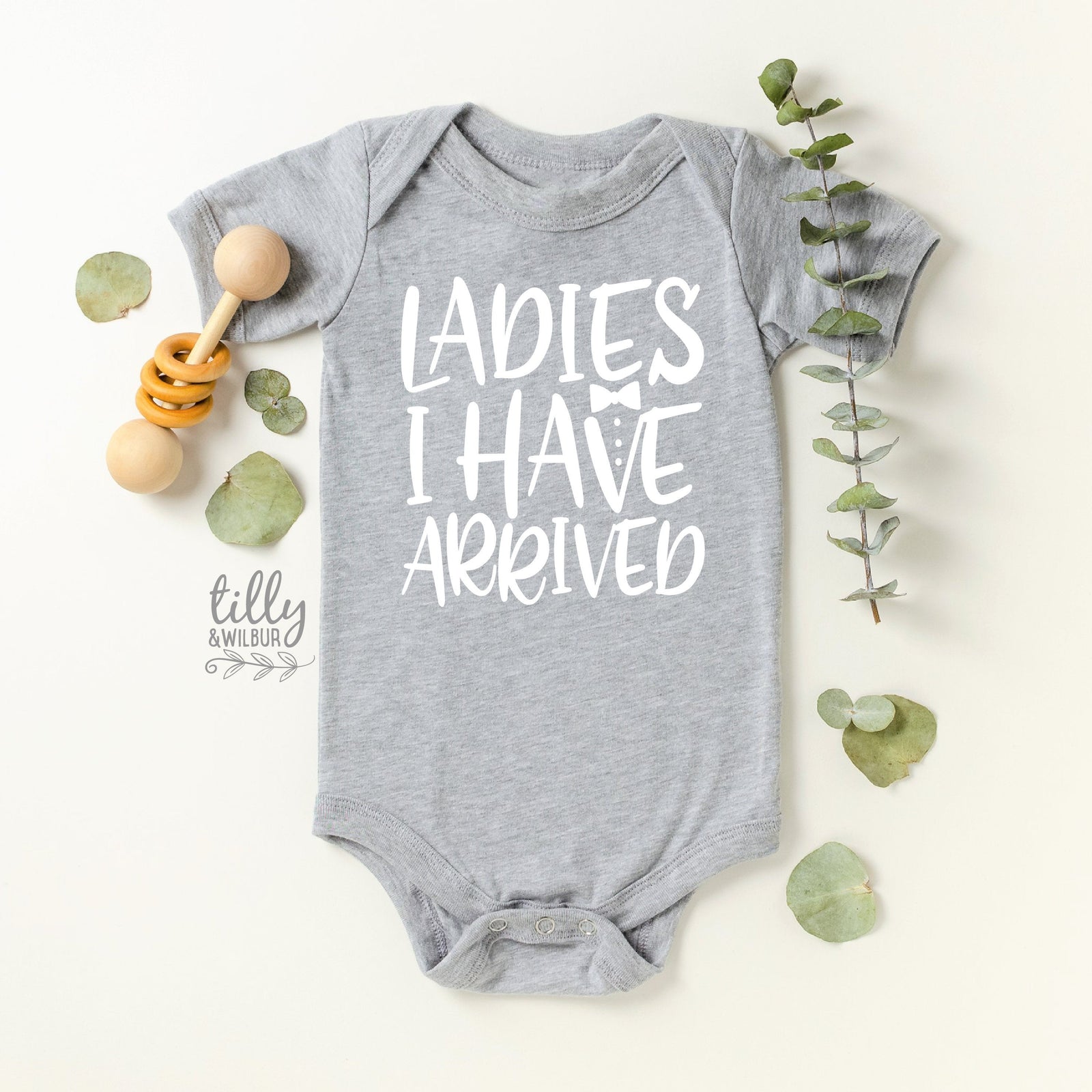 Ladies I Have Arrived Newborn Baby Gift, Coming Home Outfit, Baby Boy Bodysuit, Hello Ladies I Have Arrived Bodysuit, Newborn Baby Boy Gift