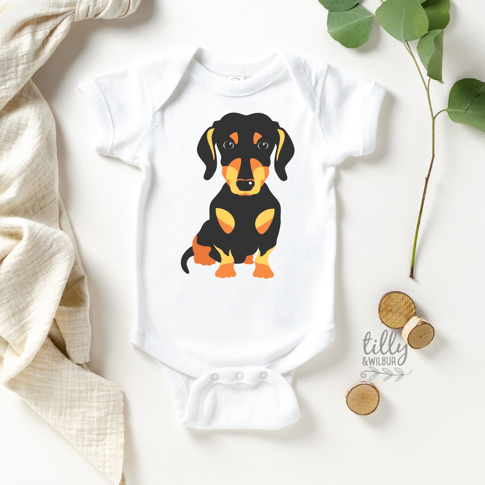 Black & Tan Dachshund