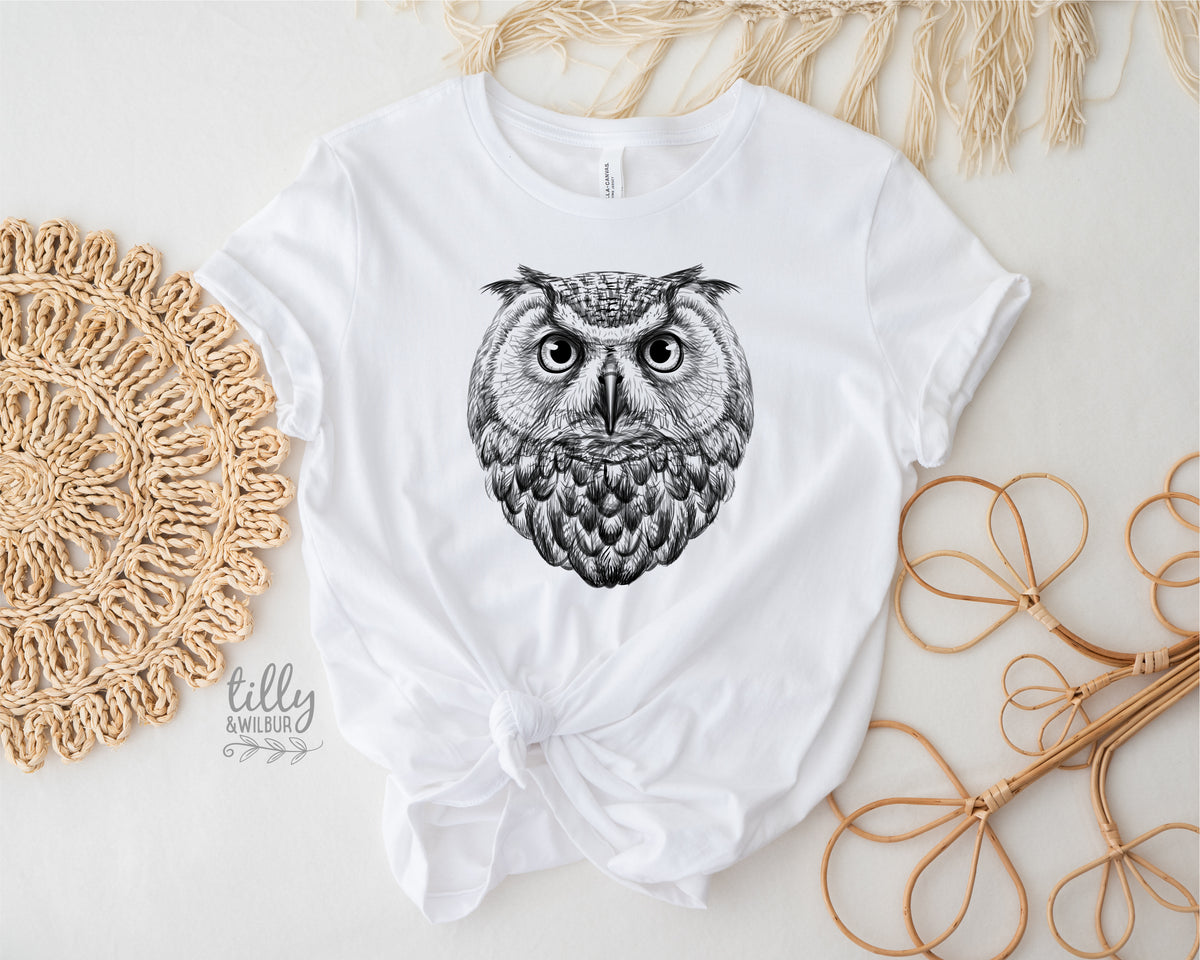 Owl Illustration