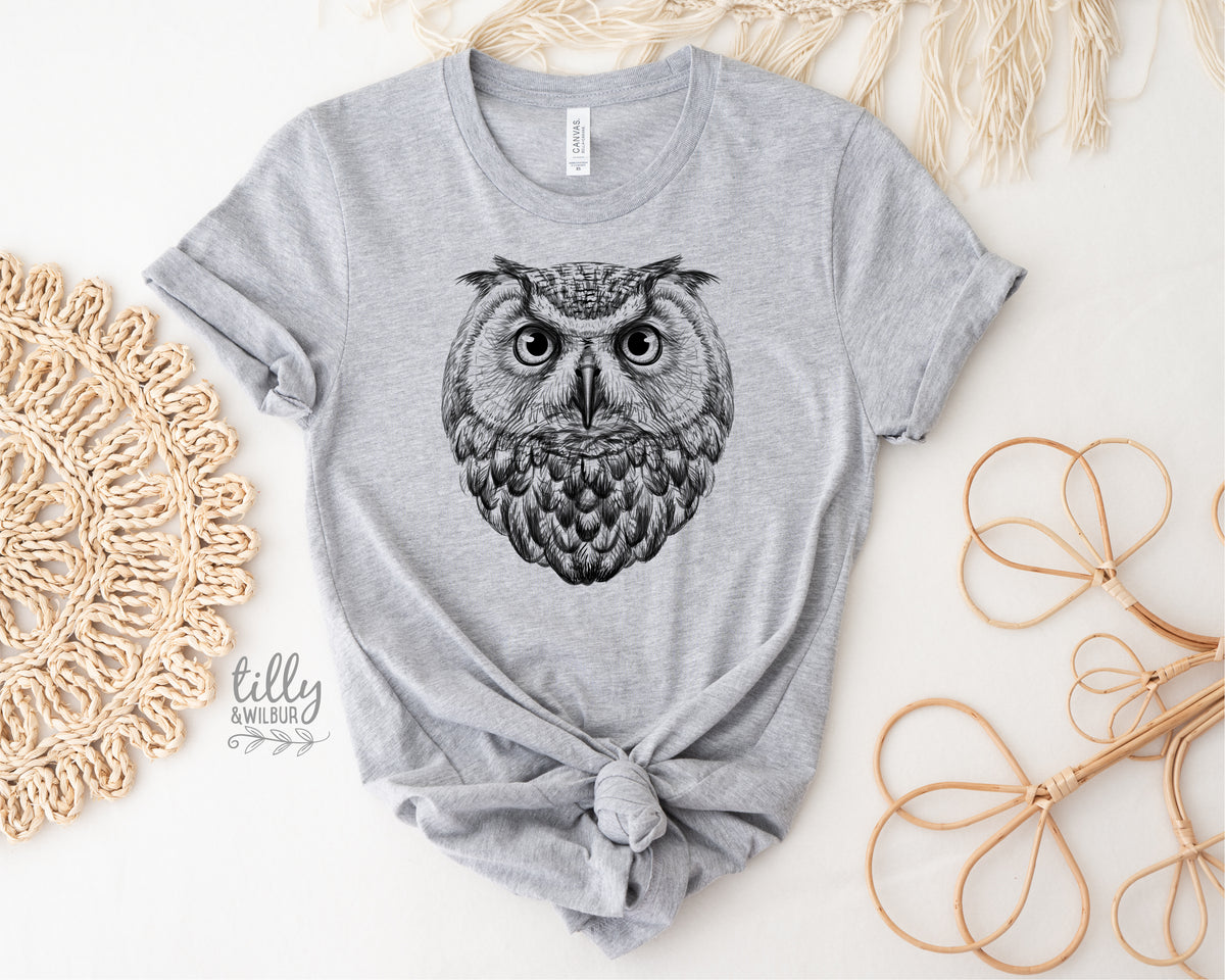 Owl Illustration
