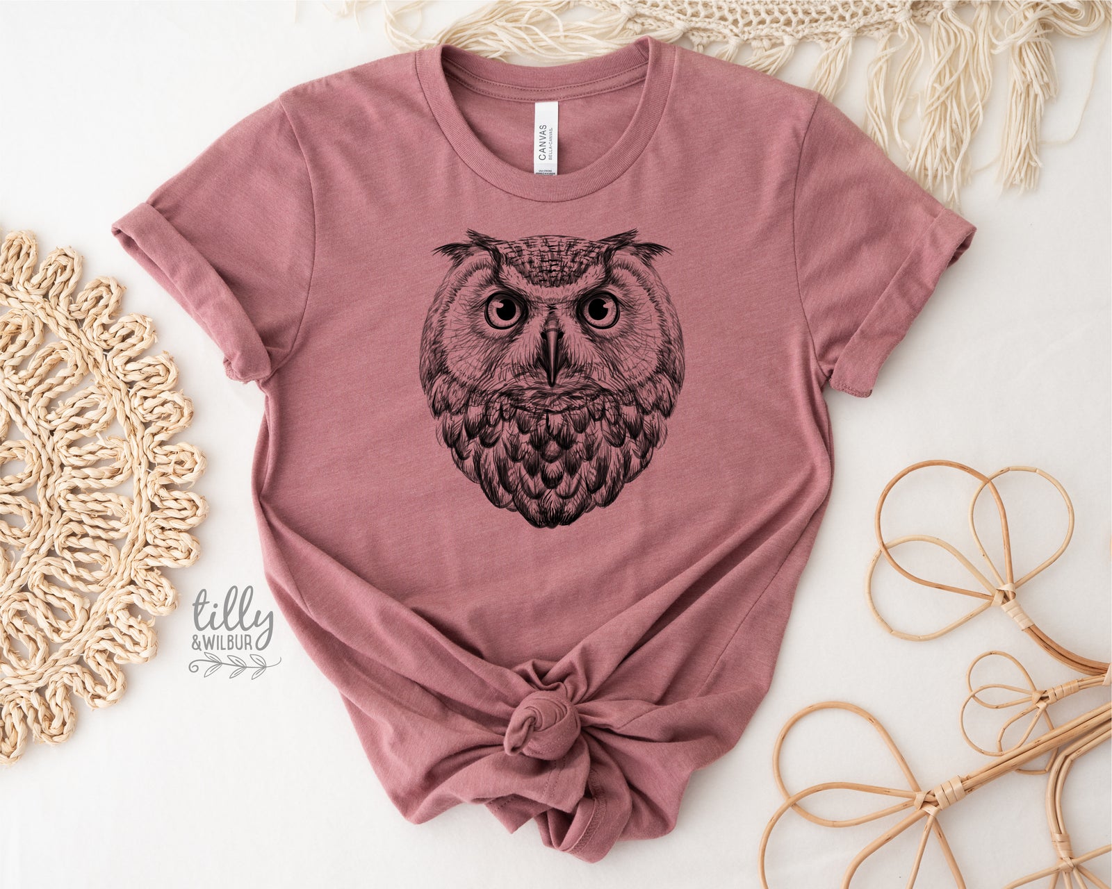 Owl Illustration