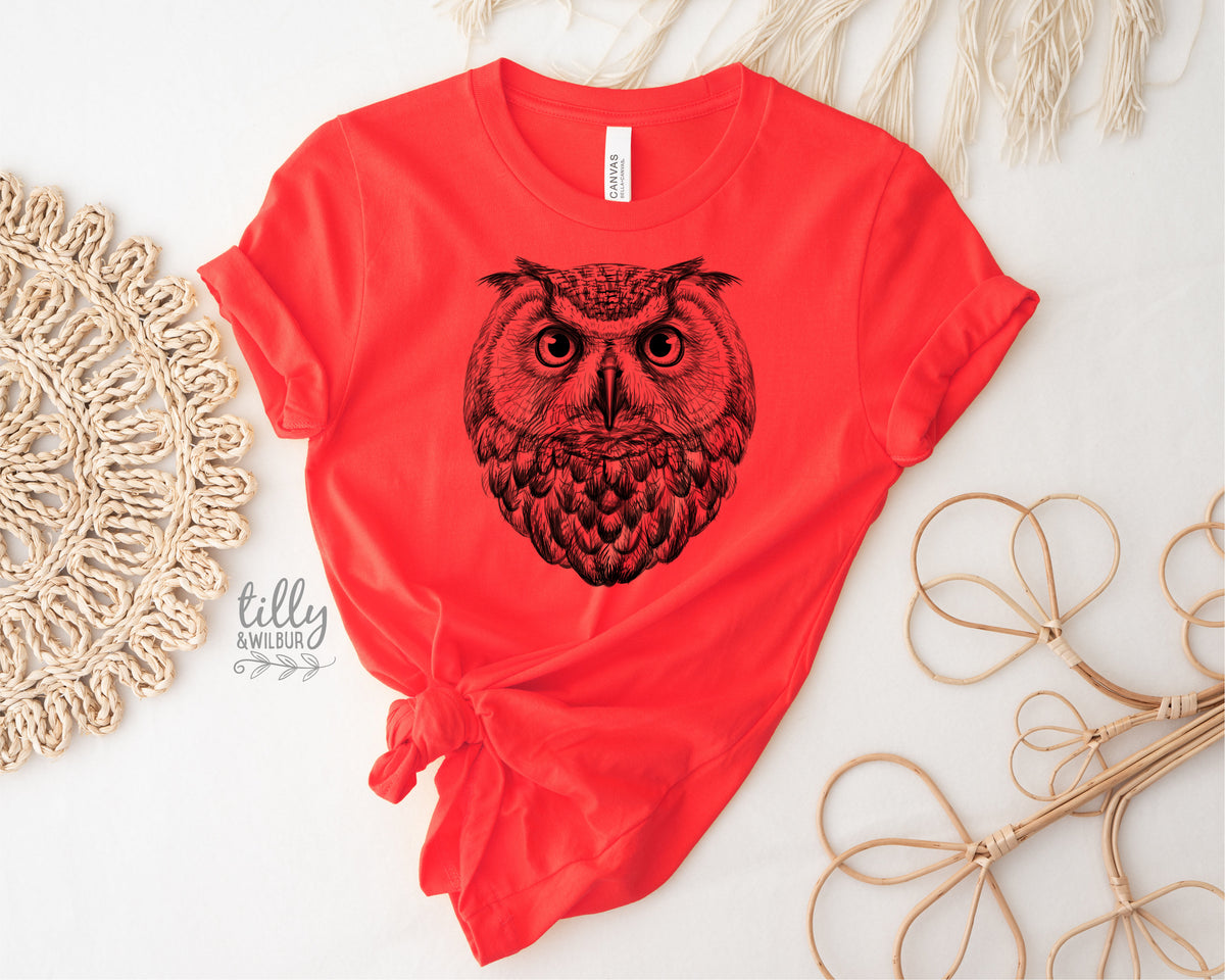 Owl Illustration