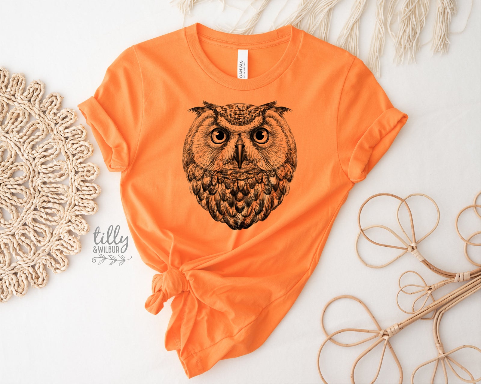 Owl Illustration