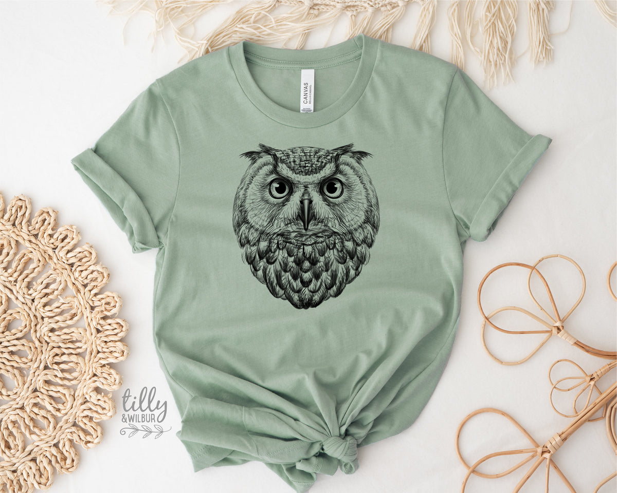 Owl Illustration