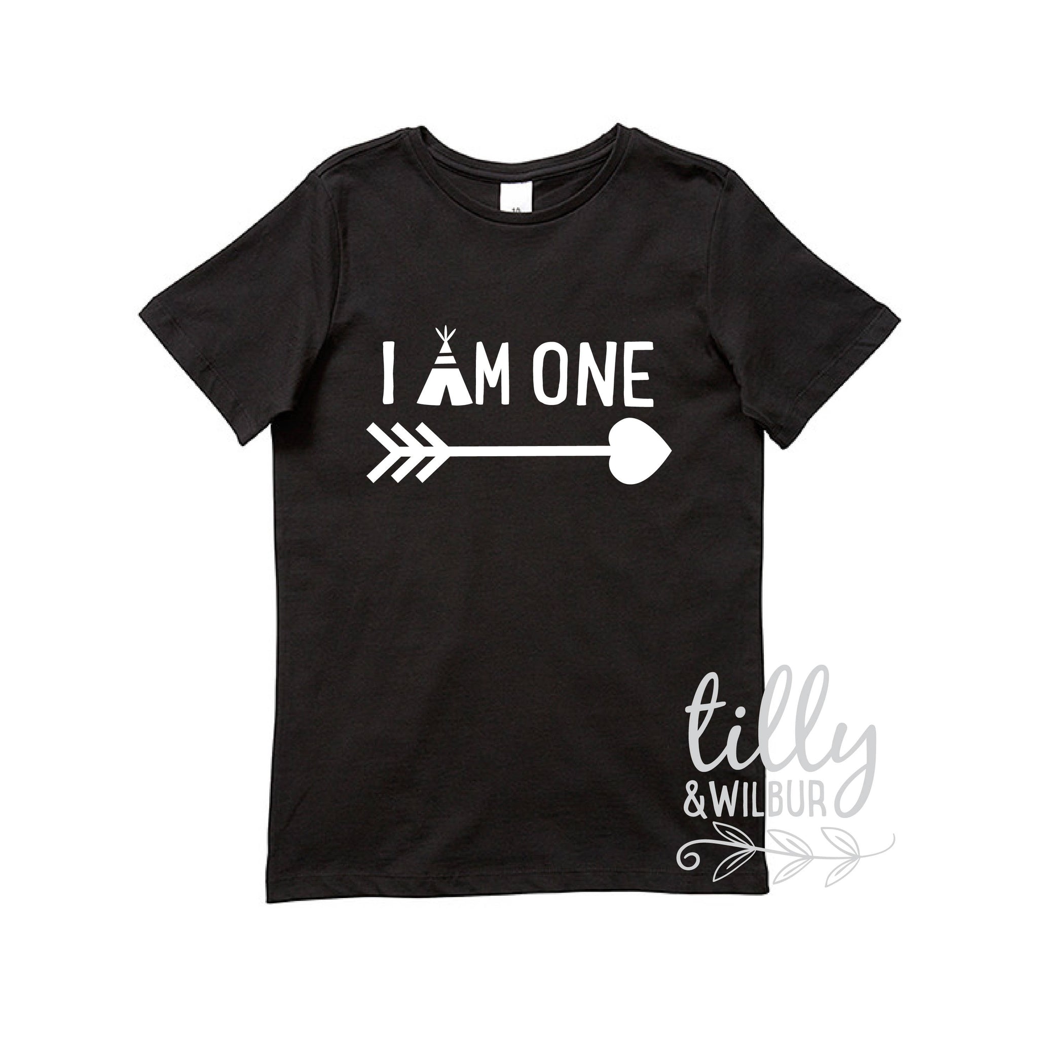 i am one shirt boy