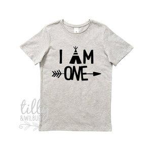 I Am One Birthday T-Shirt, 1st Birthday Gift, First Birthday Tee, Boho Design With Arrow, Teepee, Grey Cotton Short Sleeve Shirt, Cake Smash