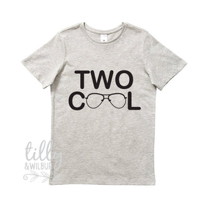 Two Cool Boys Birthday T-Shirt, Two Cool Shirt, 2 Year Old Boy, Second Birthday Gift, 2nd Birthday Present, 2nd Birthday Outfit, Boy 2
