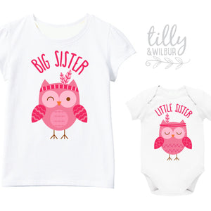 Big Sister Little Sister Owl Set, Matching Sister Outfits, Matchy Matchy Sister T-Shirts, Big Sister Shirt, Baby Shower Gifts, Sister Tees