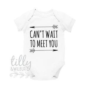 Can't Wait To Meet You Baby Bodysuit, Pregnancy Announcement, Photo Prop Pregnancy Reveal, Worth The Wait, We're Having A Baby, Pregnant