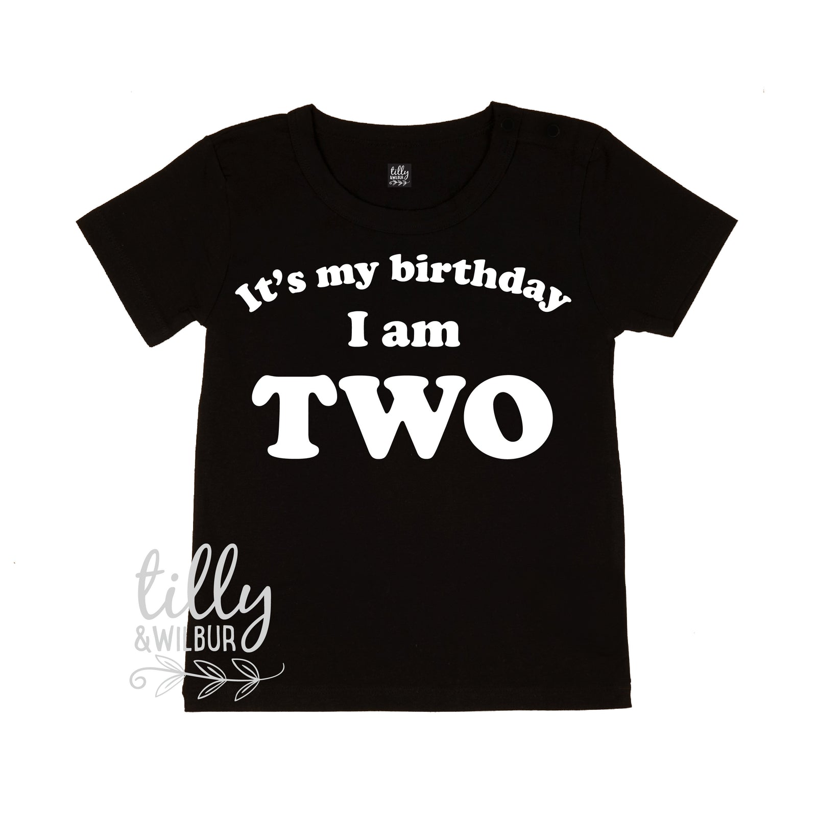 It's My Birthday I Am Two T-Shirt, I am Two Shirt, 2nd Birthday T-Shirt, Second Birthday T-Shirt, Two Today Shirt, Kids 2nd Birthday T-Shirt