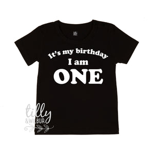 It&#39;s My Birthday I Am One T-Shirt, I am One Shirt, 1st Birthday T-Shirt, First Birthday T-Shirt, One Today Shirt, 1 Gift, One Gift, First