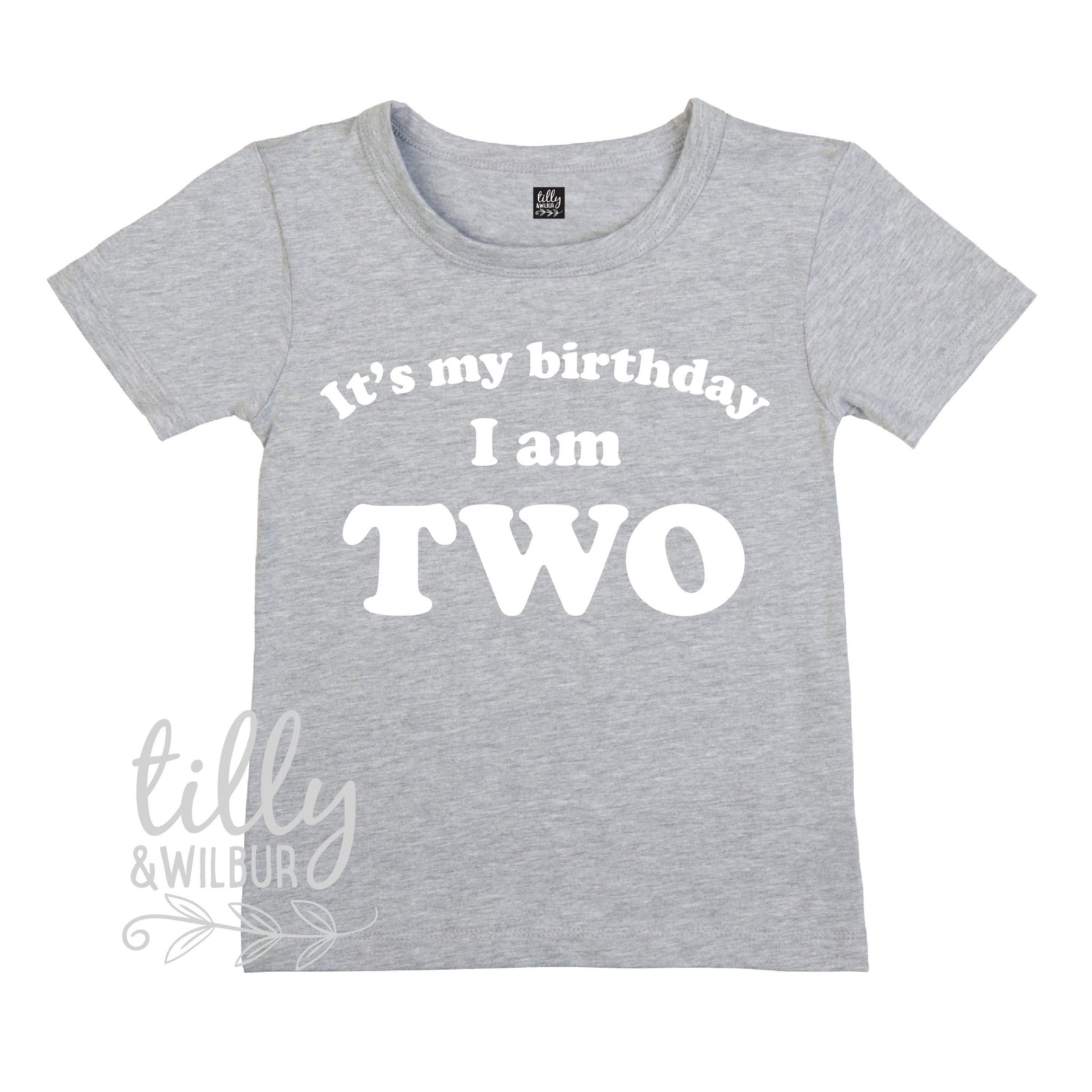 It's My Birthday I Am Two T-Shirt, I am Two Shirt, 2nd Birthday T-Shirt, Second Birthday T-Shirt, Two Today Shirt, Kids 2nd Birthday T-Shirt
