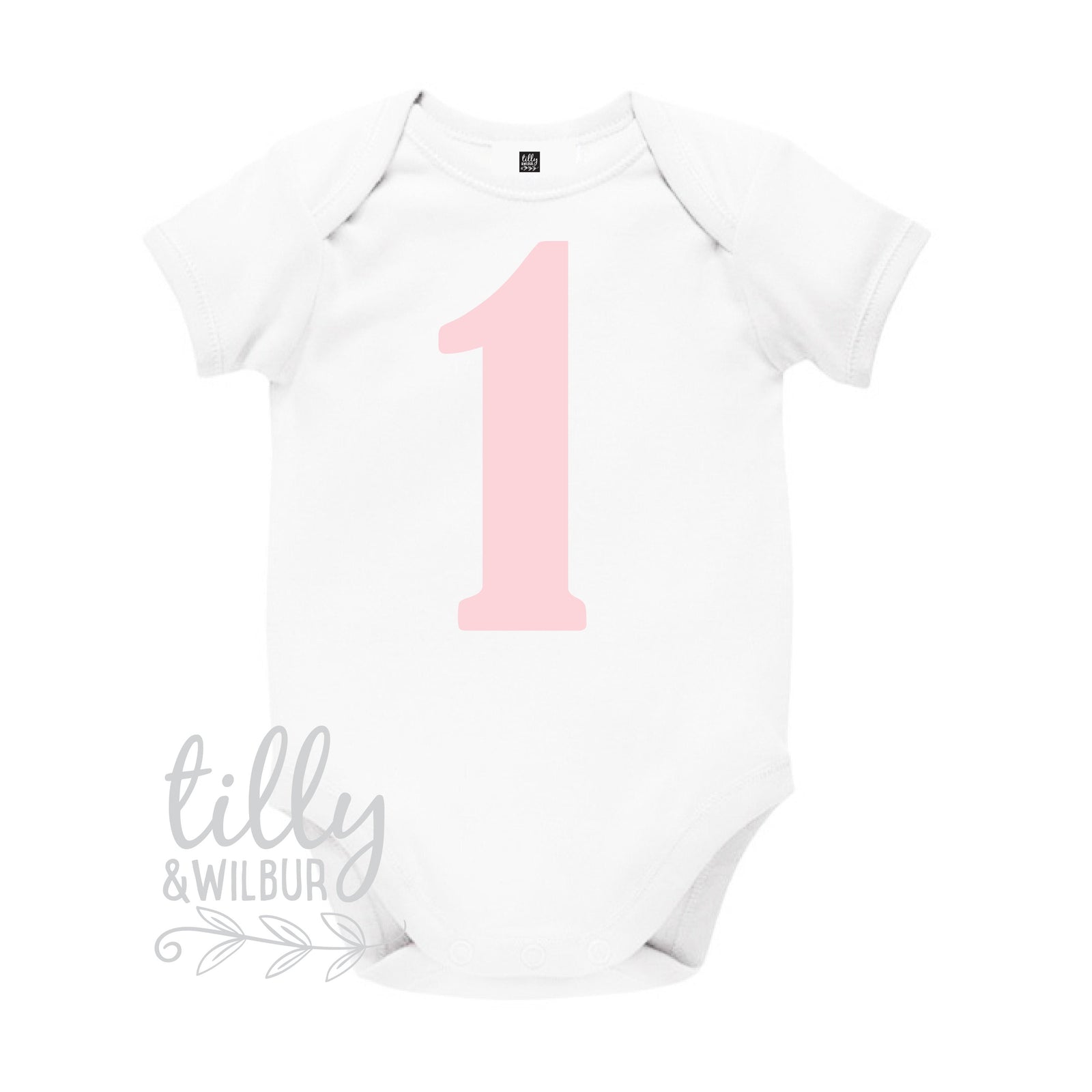 1st Birthday Bodysuit, First Birthday Bodysuit, 1st Birthday Gift, First Birthday Gift, One Today, Baby's First Birthday, Babys 1st Birthday