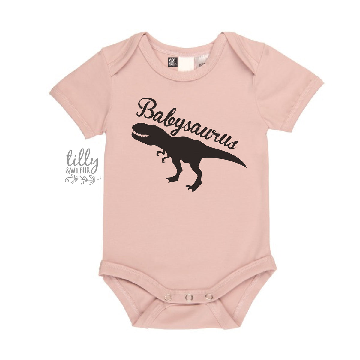 Babysaurus Bodysuit, New Baby Gift, Baby Shower Gift, Little Sister Dinosaur, Newborn Sister, Newborn Girl, Dinosaur Baby, Babysaurus Gift