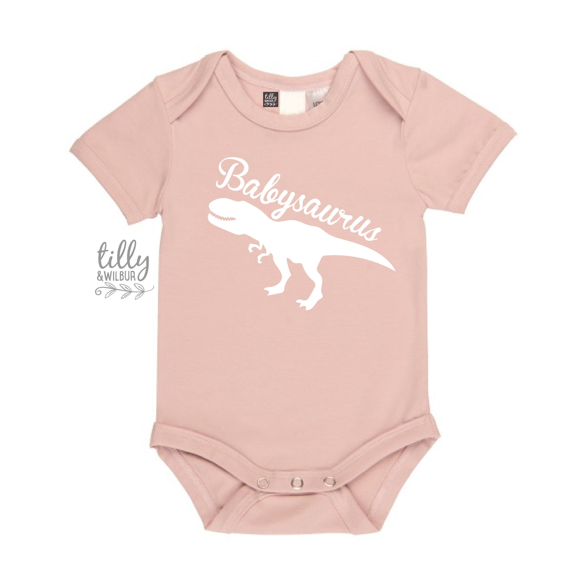 Babysaurus Bodysuit, New Baby Gift, Baby Shower Gift, Little Sister Dinosaur, Newborn Sister, Newborn Girl, Dinosaur Baby, Babysaurus Gift
