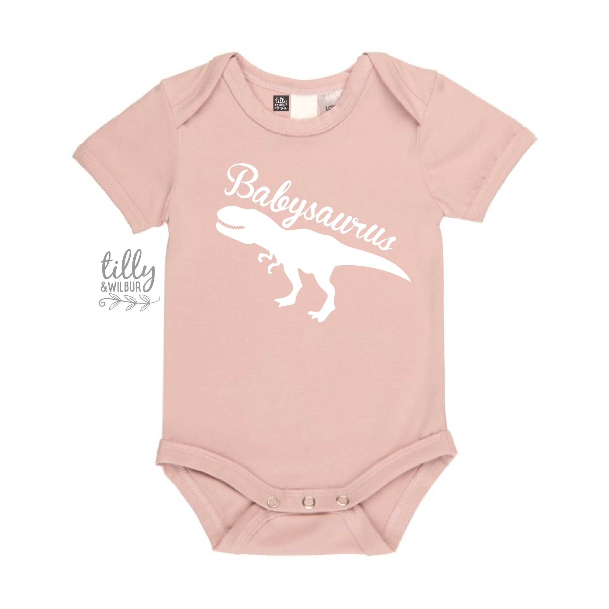 Babysaurus Bodysuit, New Baby Gift, Baby Shower Gift, Little Sister Dinosaur, Newborn Sister, Newborn Girl, Dinosaur Baby, Babysaurus Gift