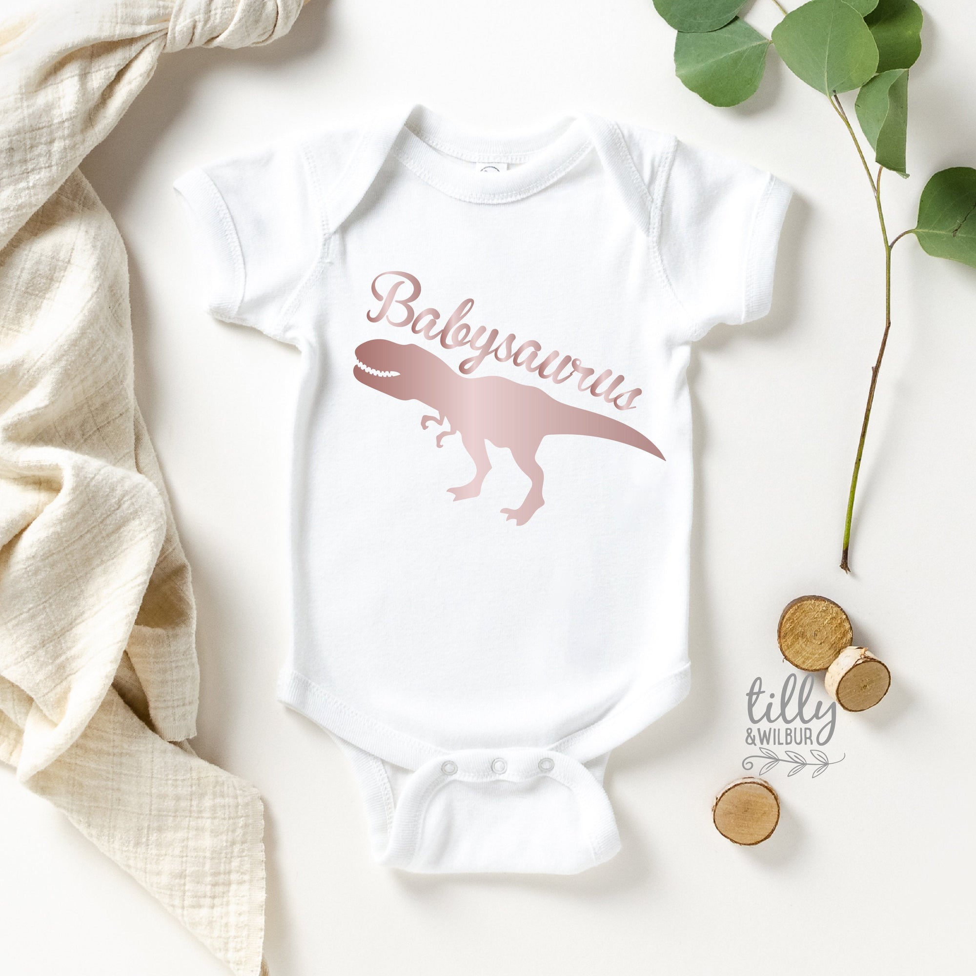 Babysaurus Bodysuit, New Baby Gift, Baby Shower Gift, Little Sister Dinosaur, Newborn Sister, Newborn Girl, Dinosaur Baby, Babysaurus Gift
