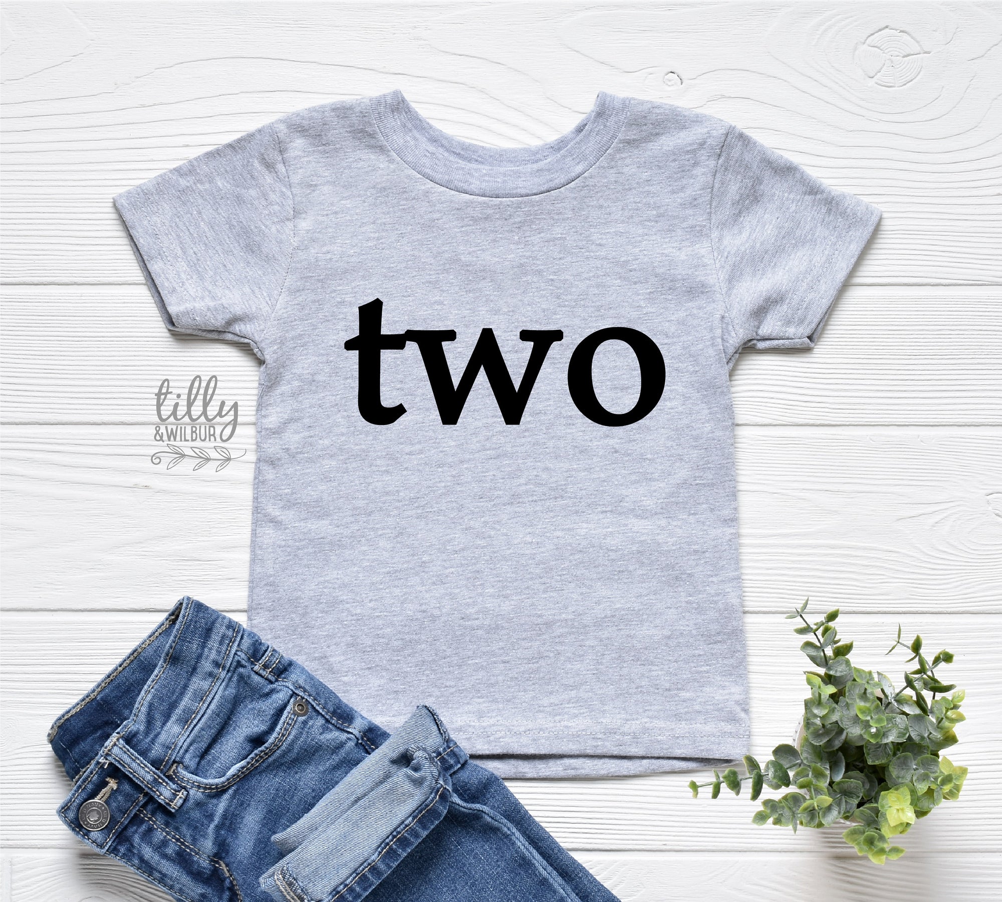 Two T-Shirt, 2nd Birthday T-Shirt, 2nd Birthday Gift, 2 Today Birthday Tee, Cake Smash Outfit, Girls Birthday Gift, Birthday Boy T-Shirt