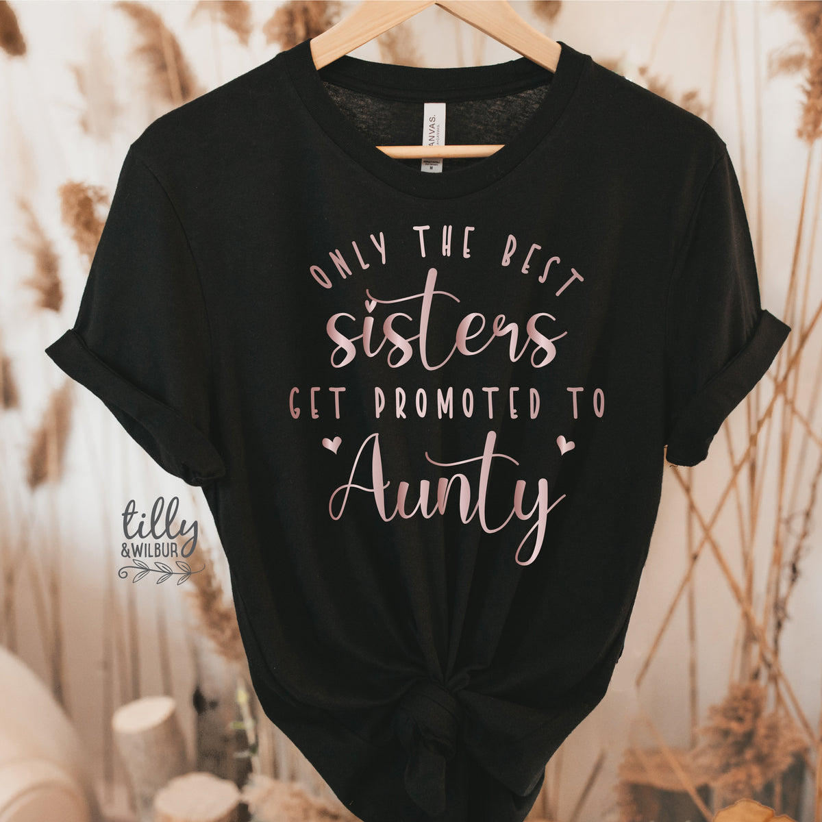 Only The Best Sisters Get Promoted To Aunty T-Shirt