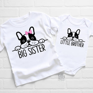 Big Sister Little Brother Set, Matching Sister Outfits, Sibling T-Shirts, Big Sister Shirt, Little Brother Bodysuit, New Baby Gift,Newborn