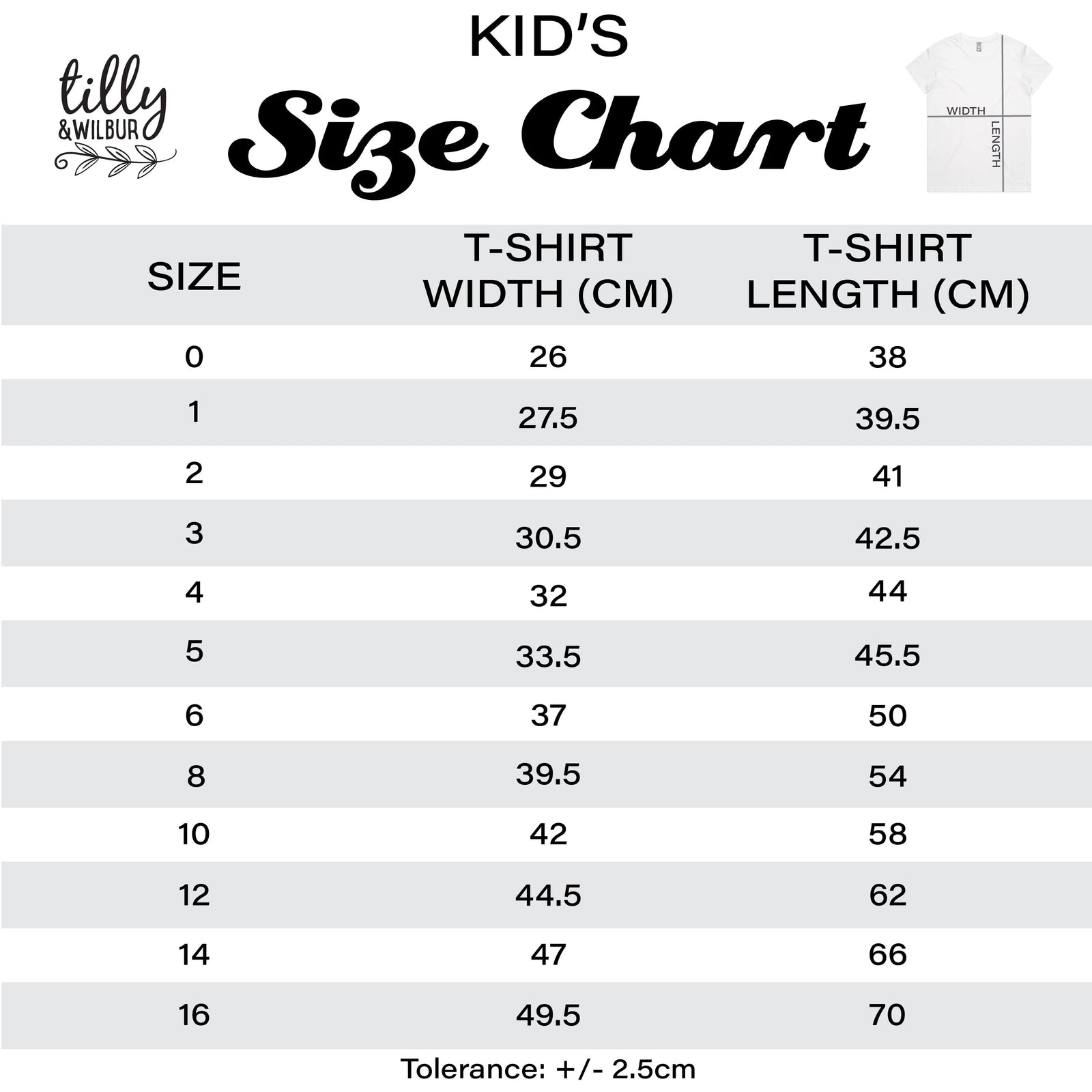 Fully Six Bro T-Shirt, Fully 6 Bro T-Shirt, Six Year Old Birthday Boy Outfit, 6th Birthday, Six Birthday, 6th Birthday, Birthday Boy, Boy 6