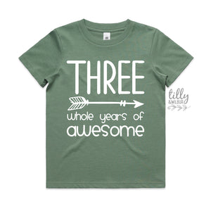 Three Whole Years Of Awesome Birthday T-Shirt, Boy's 3rd Birthday T-Shirt, Third Birthday Gift, 3rd Birthday Outfit, 3rd Birthday Boy Gift