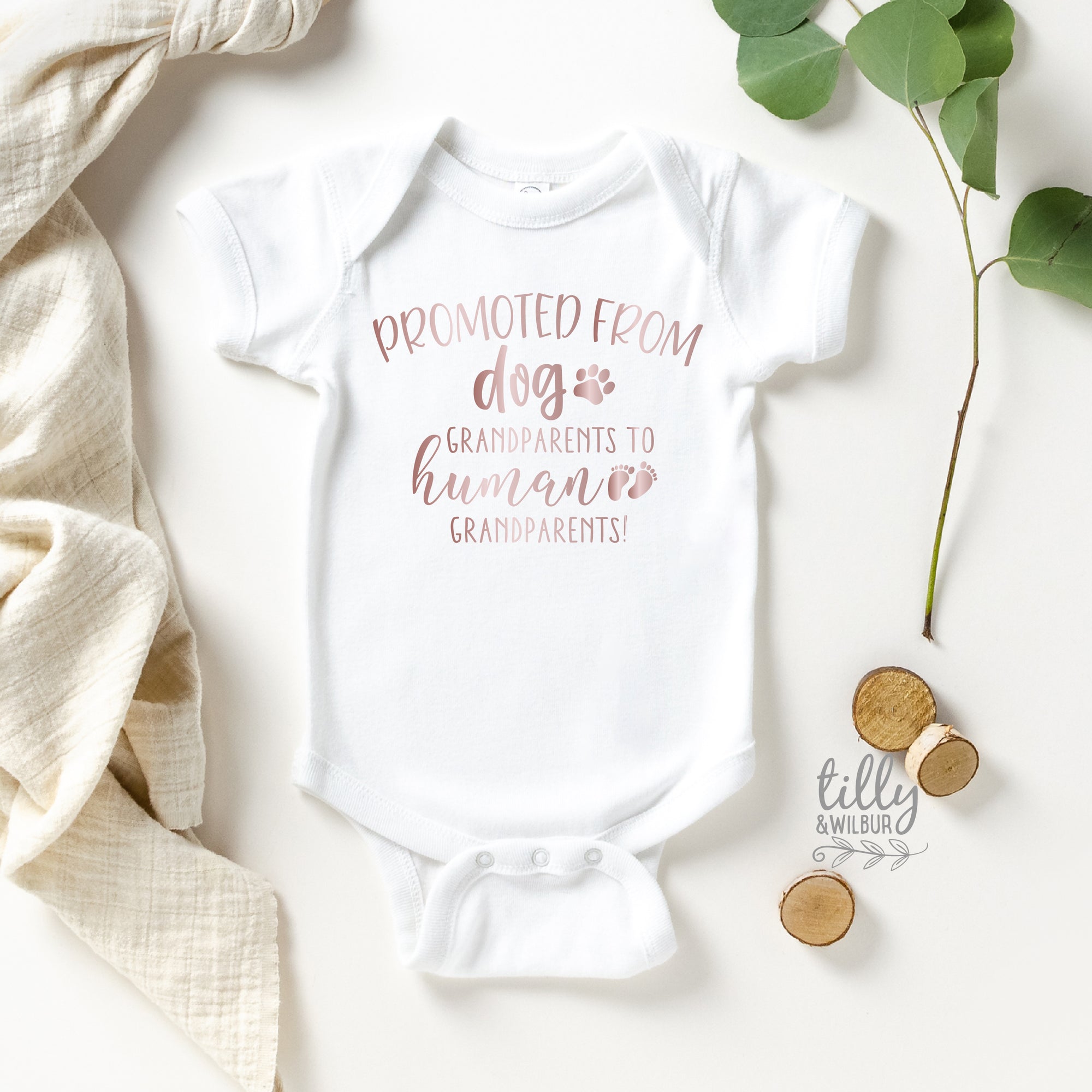 Promoted From Dog Grandparents To Human Grandparents Pregnancy Announcement Bodysuit